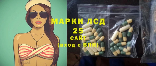 гидропоника Медногорск