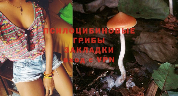 дживик Медвежьегорск