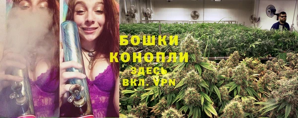 бутират Мегион