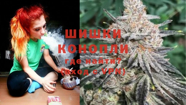 гидропоника Медногорск