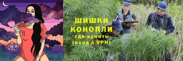 бутират Мегион