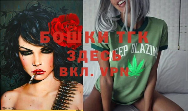 дживик Медвежьегорск