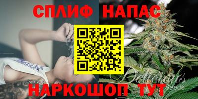 ГАЛЛЮЦИНОГЕННЫЕ ГРИБЫ Заволжье