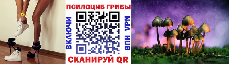 Псилоцибиновые грибы GOLDEN TEACHER  купить   Новотроицк 