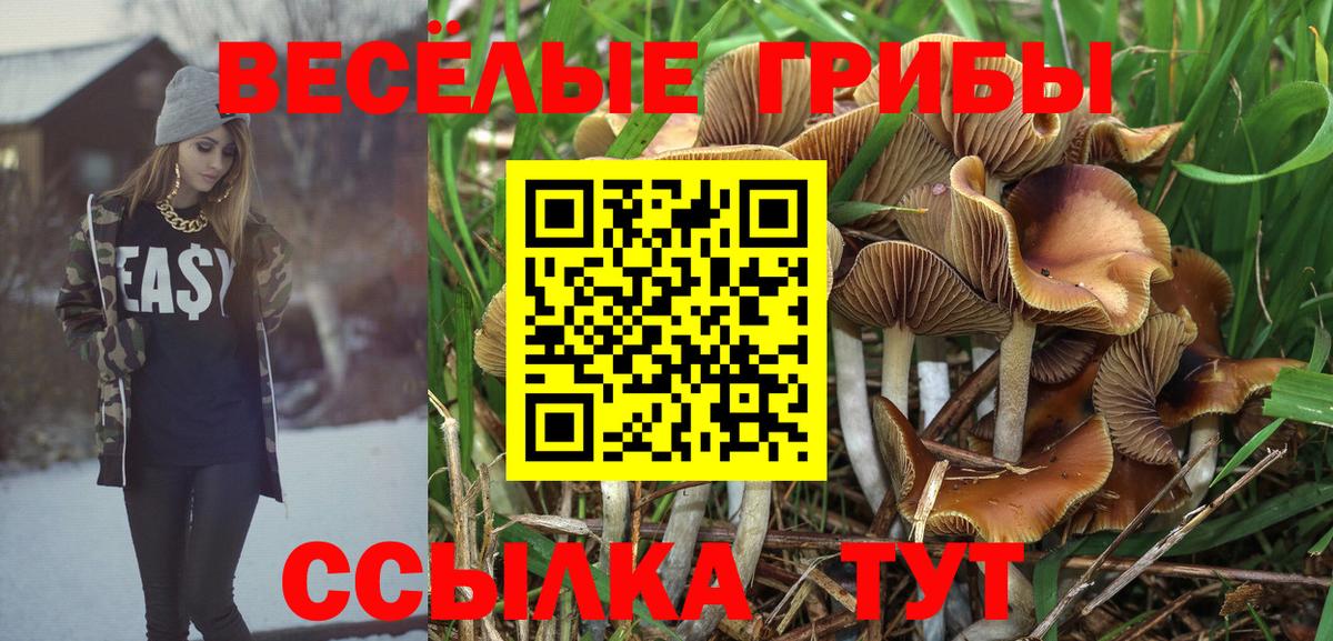 Псилоцибиновые грибы ЛСД Новотроицк