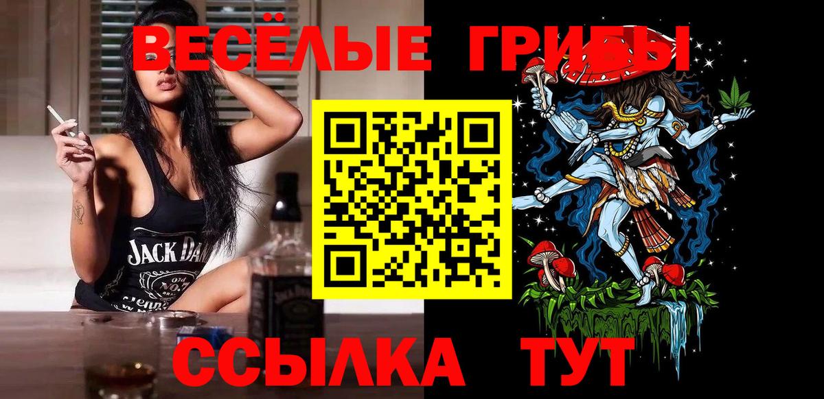 Псилоцибиновые грибы мицелий  Вход с VPN  Новотроицк 