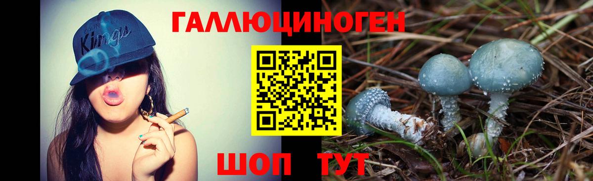 Псилоцибиновые грибы Cubensis  Новотроицк 